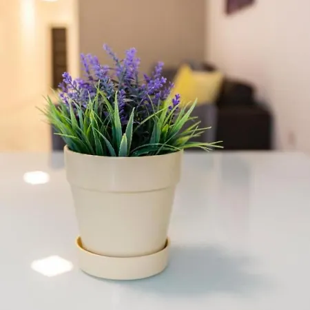 Apartamento Emerald *