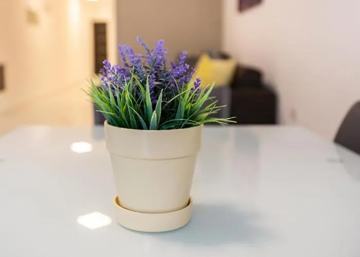 Appartement Spacious 3bd Family With Terrace - By Hostmt *